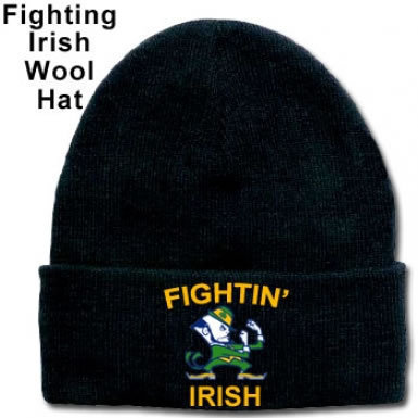 Ireland Fighting