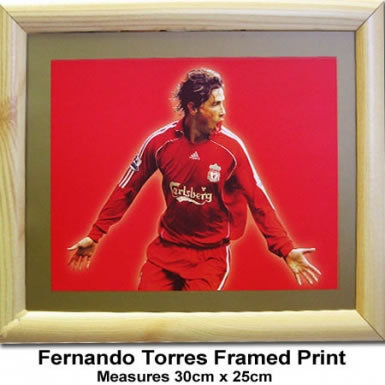 liverpool fc Fernando Torres Framed Print Torres Poster