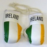 Ireland Flag Mini Boxing Gloves 