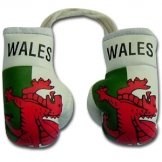 Wales Flag Mini Boxing Gloves 