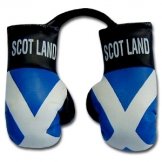 Scotland Flag Mini Boxing Gloves 