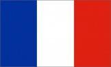 France Euro 2012 Flag 