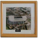 Newcastle Utd Football Stadium Print 