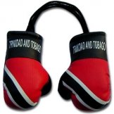 Trinidad Flag Mini Boxing Gloves 