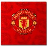 Man Utd Face Towel Manchester United