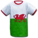 Wales T-Shirt 
