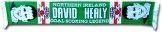 Northern Ireland & David Healy Scarf 