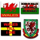 Wales Pin Badges 