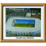 Cardiff City Football Stadium Print 