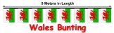 Wales Flag  9 Meter Bunting 