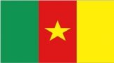 Cameroon Flag 