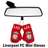 Liverpool FC Mini Gloves  - liverpool fc