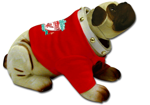 Liverpool FC Nodding Dog  - liverpool fc