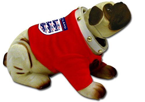 England Nodding Dog England