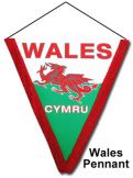 Wales Flag Pennant 