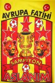 Galatasaray Crest Flag 