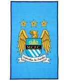 Manchester United Crest Scarf