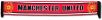 Manchester United Crest Scarf