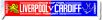Liverpool v Cardiff City 2012 Carling Cup Final Scarf