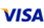 Visa Payment Icon